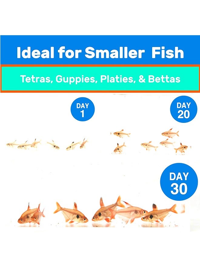 Hikari Vibra Bites Baby - 37GM - Image 3